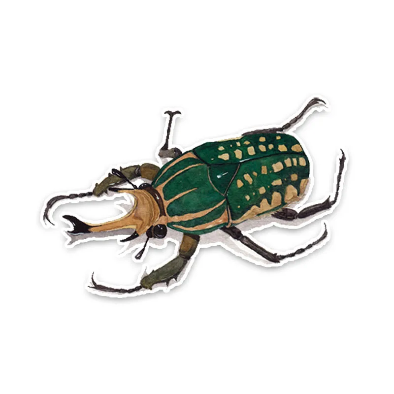 LLY-1091 Lovely Stag Beetles Car Sticker PVC Personality Motorcycle Cars Accessories Decoration High Quality Waterproof Decal
LLY-1091 Lovely Stag Beetles Car Sticker PVC Personality Motorcycle Cars Accessories Decoration High Quality Waterproof Decal