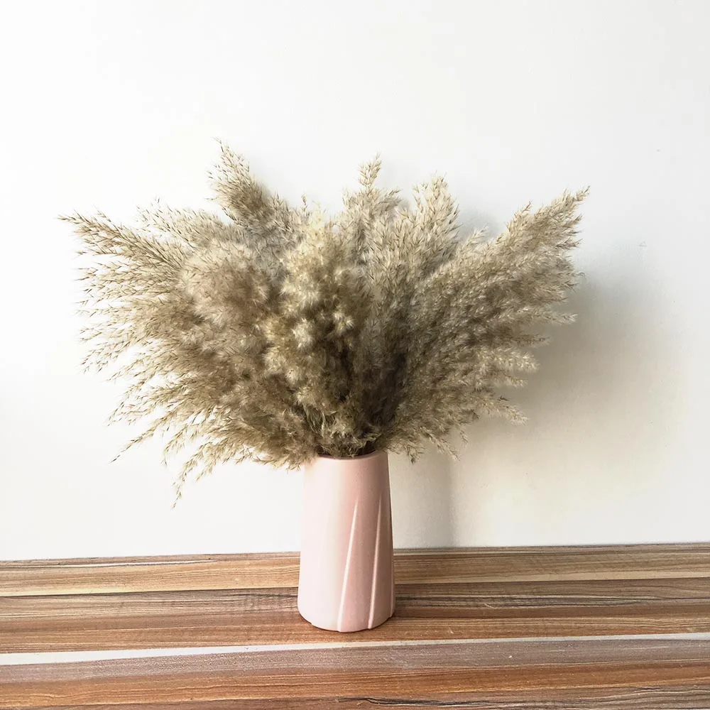 10pcs pampas grass reeds bulrush home decoration dried flowers wedding holiday party decor plastic vase artificial flowers
10pcs pampas grass reeds bulrush home decoration dried flowers wedding holiday party decor plastic vase artificial flowers