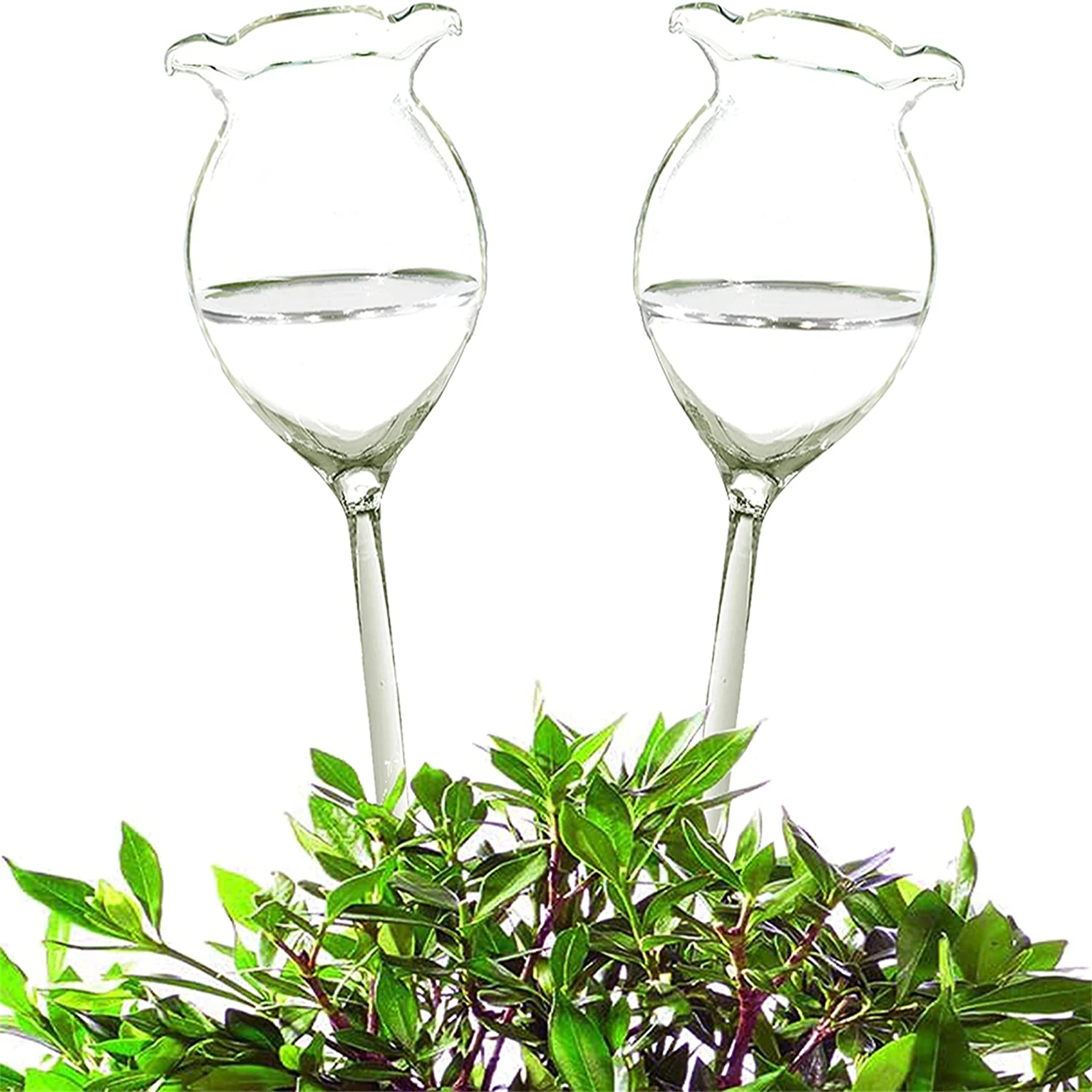 Plant Waterer Self Watering Globes Self Watering Spikes Hand Blown Clear Glass Flower Shape Plant Water Bulbs Devices For Indoor
Plant Waterer Self Watering Globes Self Watering Spikes Hand Blown Clear Glass Flower Shape Plant Water Bulbs Devices For Indoor