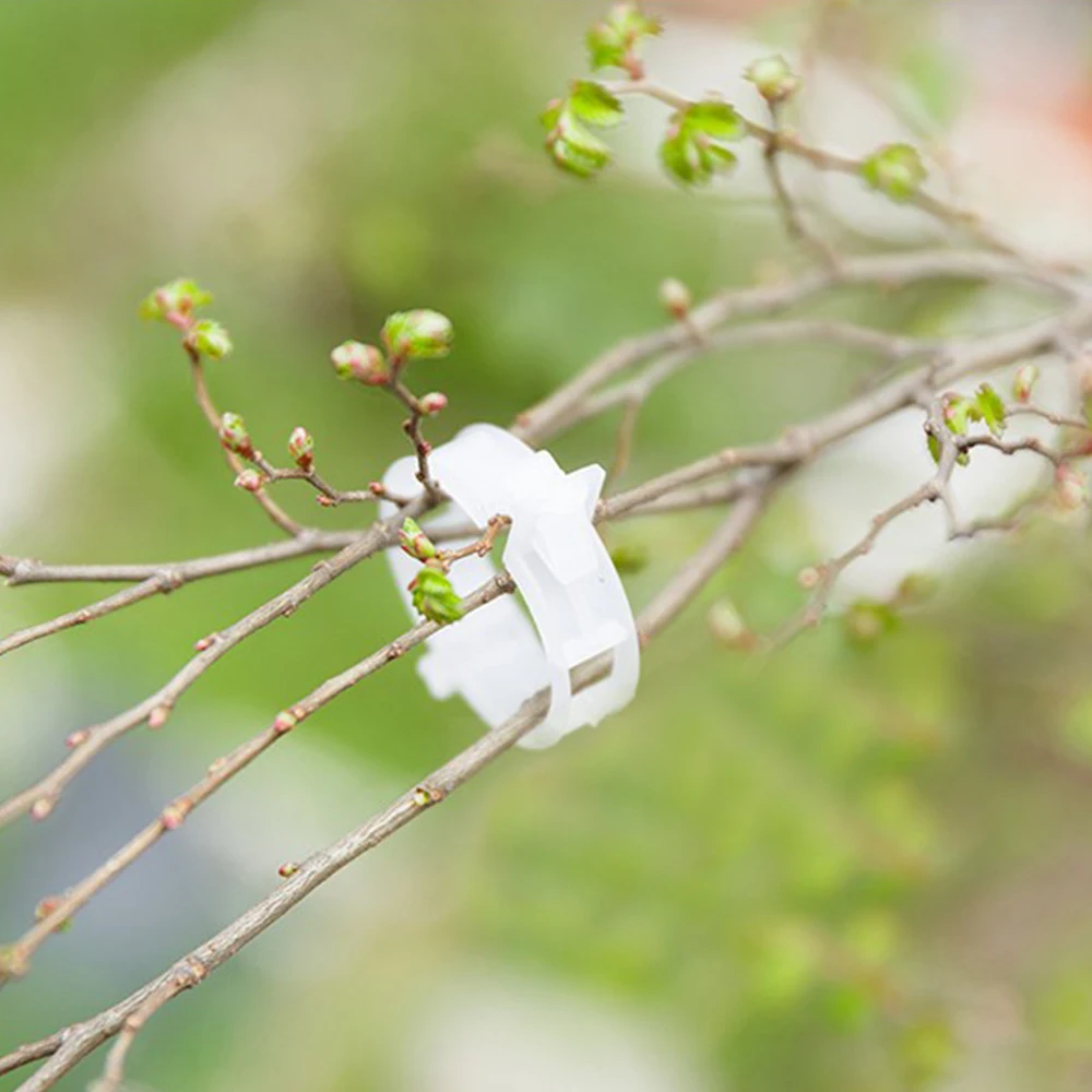 50 PCS Garden Supplies Plant Clips Plant Fixing Clips Garden Plants Flowers Tied Bundle Branch Clip Clamping Tools
50 PCS Garden Supplies Plant Clips Plant Fixing Clips Garden Plants Flowers Tied Bundle Branch Clip Clamping Tools
