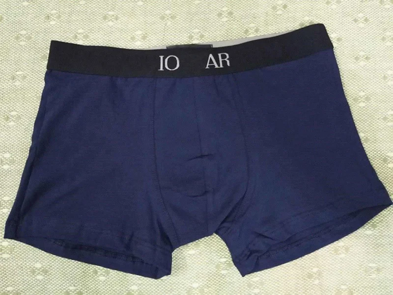 

NXY 2020 Designers brand Mens Boxer men Underpants Brief For Man UnderPanties Sexy Underwear Boxers Cotton Underwears Shorts