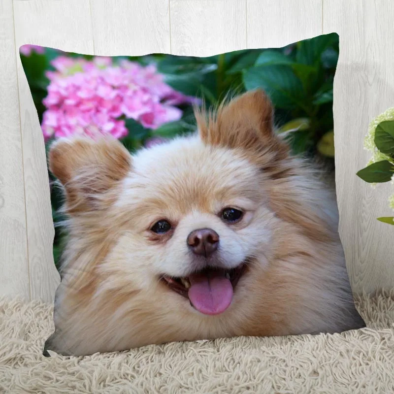 Custom Pillow Cases Dog Animals Square Pillowcase Christmas Zippered Pillow Cover 40*40cm,45*45cm(One Side)
Custom Pillow Cases Dog Animals Square Pillowcase Christmas Zippered Pillow Cover 40*40cm,45*45cm(One Side)