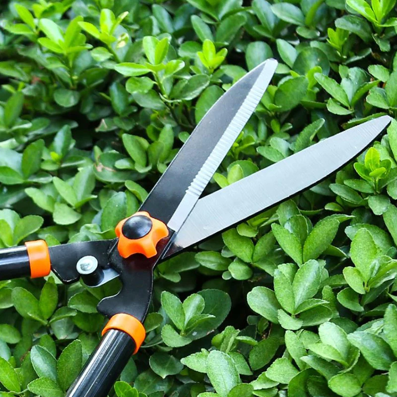 Long Handle Fence Shear Hedge Shear Garden Pruning Shears Anvil Tree Lawn Cutter Flower Branches Grass Trimmer home Hand Tool
Long Handle Fence Shear Hedge Shear Garden Pruning Shears Anvil Tree Lawn Cutter Flower Branches Grass Trimmer home Hand Tool