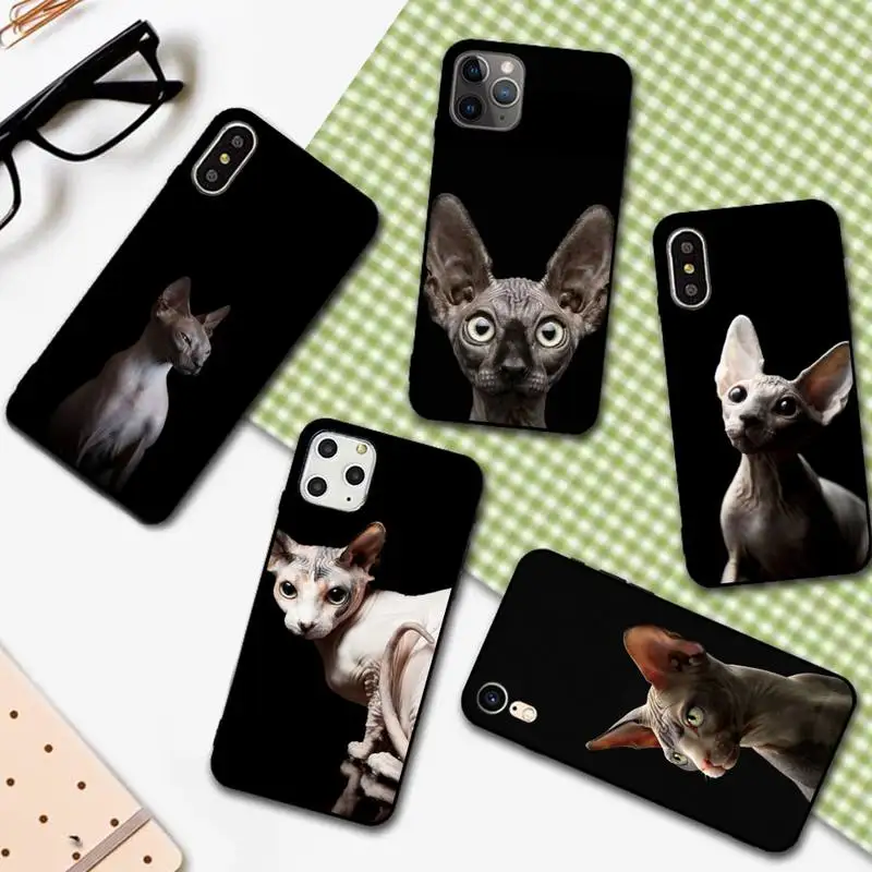 YNDFCNB Hairless cat Phone Case for iphone 13 11 12 pro XS MAX 8 7 6 6S Plus X 5S SE 2020 XR cover
YNDFCNB Hairless cat Phone Case for iphone 13 11 12 pro XS MAX 8 7 6 6S Plus X 5S SE 2020 XR cover