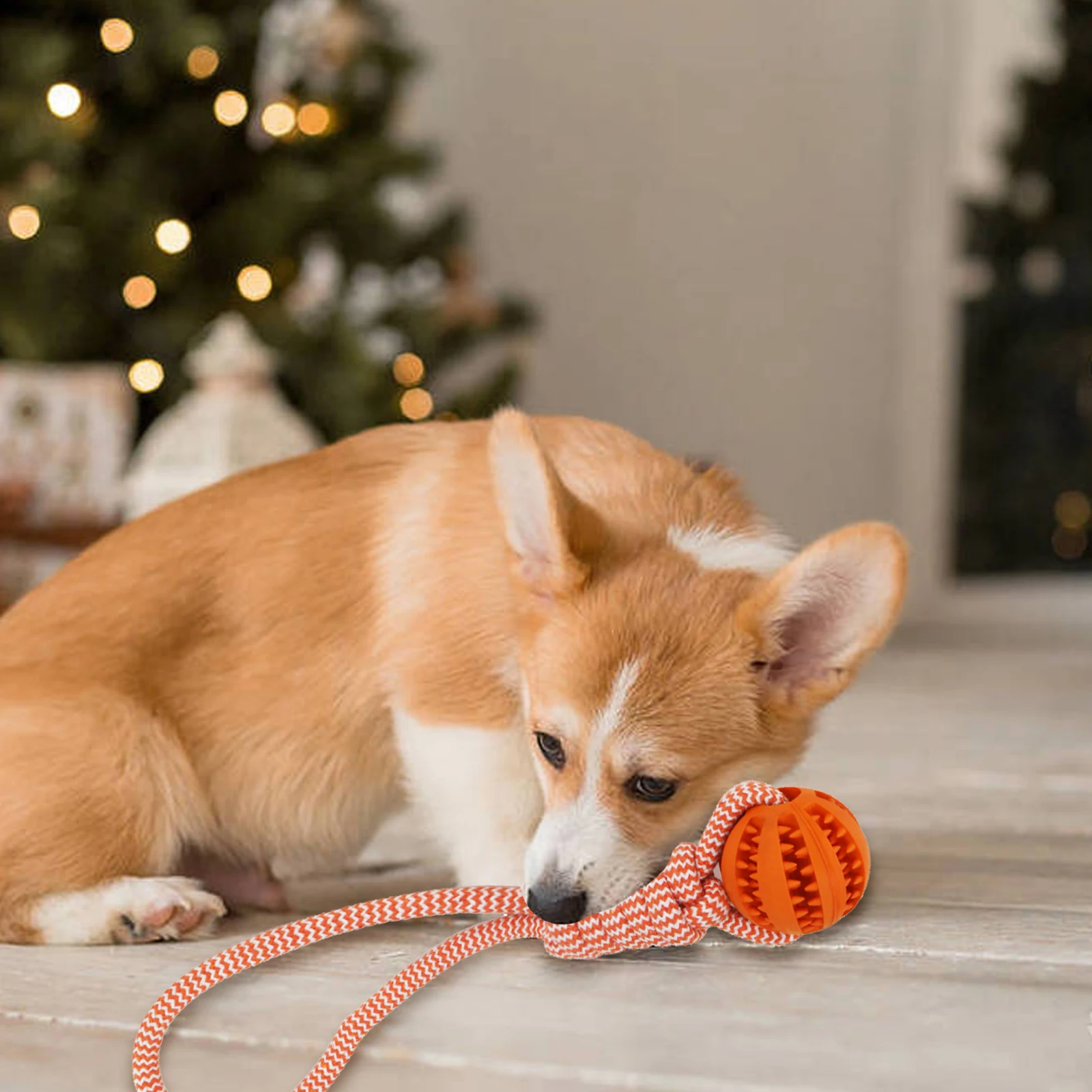 Pet Cotton Rope Ball Dog Toy Chew Toy Teeth Dental Care Outdoor Training Playing Interactive Rope Ball For Large Small Dog Cat
Pet Cotton Rope Ball Dog Toy Chew Toy Teeth Dental Care Outdoor Training Playing Interactive Rope Ball For Large Small Dog Cat