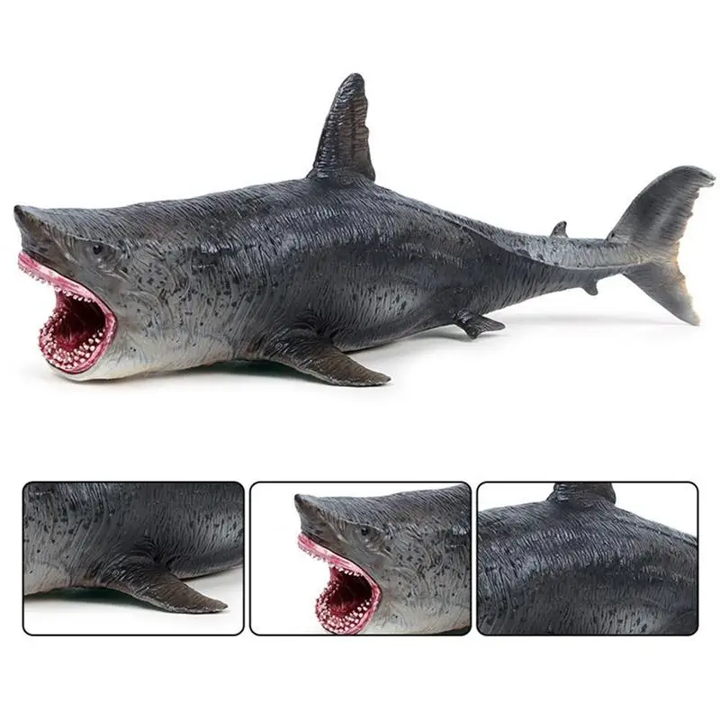 Simulation marine life animal model giant tooth shark cannibal shark white shark tiger toy shark shark children's ornament E2I1
Simulation marine life animal model giant tooth shark cannibal shark white shark tiger toy shark shark children's ornament E2I1