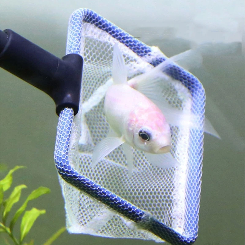 Aquarium Fish Tank Clean Set, Aquarium Cleaning Kit for Fish Tank Long Handle Fi 27RF
Aquarium Fish Tank Clean Set, Aquarium Cleaning Kit for Fish Tank Long Handle Fi 27RF