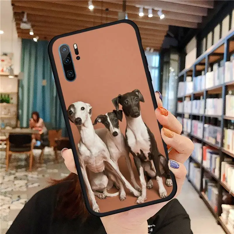 Dachshund dog animal cute Phone Case For Huawei honor Mate P 9 10 20 30 40 Pro 10i 7 8 a x Lite nova 5t Soft Silicone Shell
Dachshund dog animal cute Phone Case For Huawei honor Mate P 9 10 20 30 40 Pro 10i 7 8 a x Lite nova 5t Soft Silicone Shell