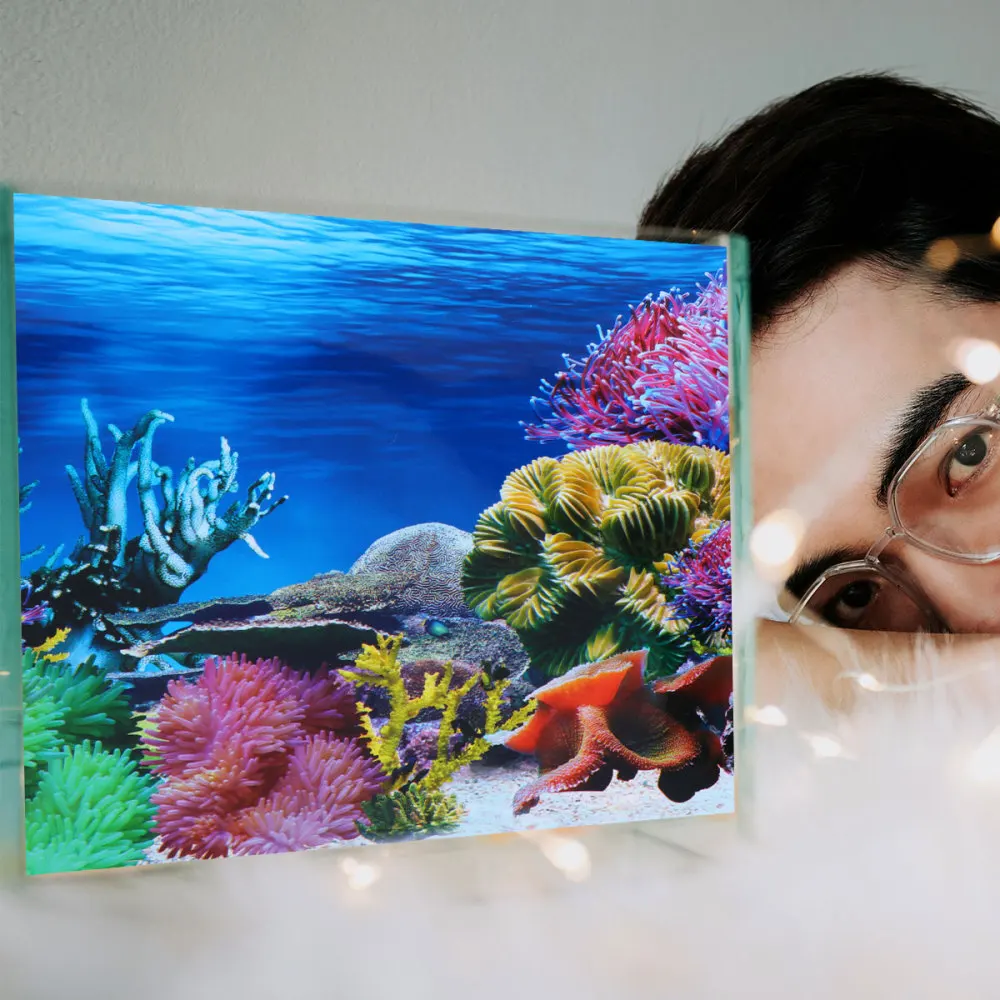 30x42cm Three-dimensional Scenery Sticker Double Side Glass Decal Background Decoration Accessories for Fish Tank Aquarium (Styl
30x42cm Three-dimensional Scenery Sticker Double Side Glass Decal Background Decoration Accessories for Fish Tank Aquarium (Styl