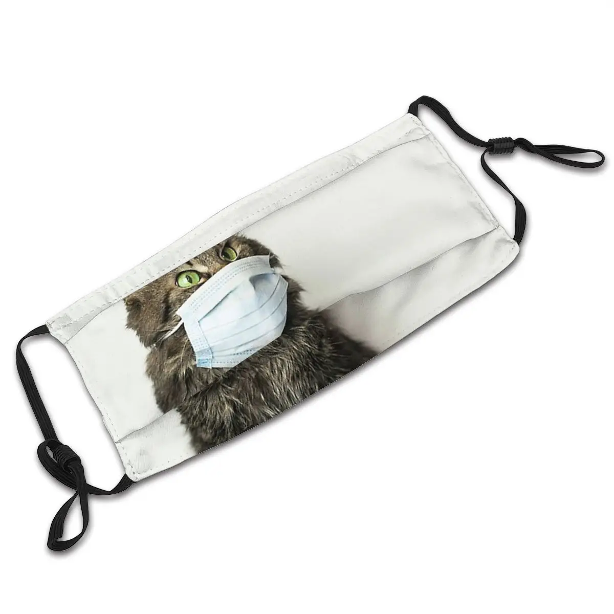 Cute Cat With Face Mask Funny Mask Unisex Reusable Anti Haze Dustproof Protection Respirator Mask with Filters
Cute Cat With Face Mask Funny Mask Unisex Reusable Anti Haze Dustproof Protection Respirator Mask with Filters