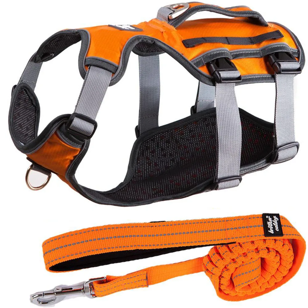 2020 Dog Reflective Nylon Large pet Dog Harness With Leash Service Dog Ves Padded Adjustable Safety Vehicular Lead For Dogs Pet
2020 Dog Reflective Nylon Large pet Dog Harness With Leash Service Dog Ves Padded Adjustable Safety Vehicular Lead For Dogs Pet