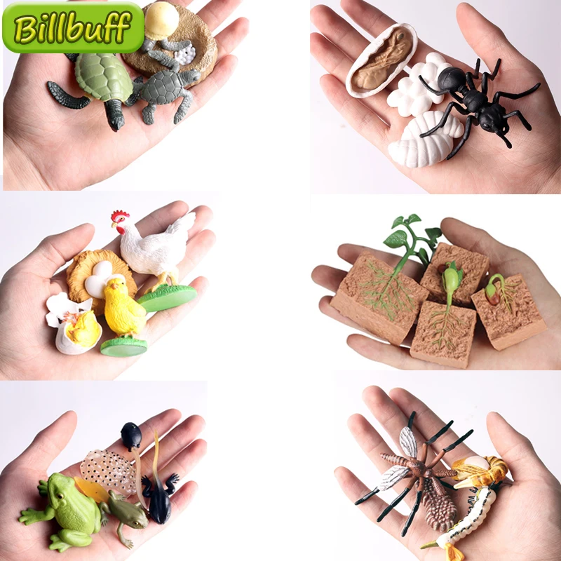 

New PVC Simulation Insect Plant Growth Seed Solid Soybean Toy Figures Mini Figures Toys Science Education for Baby Early Toys