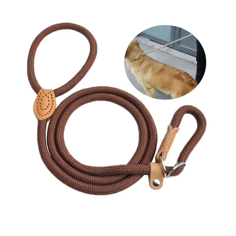 Dog Leash Nylon Pet Lead Leash Adjustable Dog Harness Durable Rope Belt Lightweight Dog Supplies Walking Training correa perro
Dog Leash Nylon Pet Lead Leash Adjustable Dog Harness Durable Rope Belt Lightweight Dog Supplies Walking Training correa perro