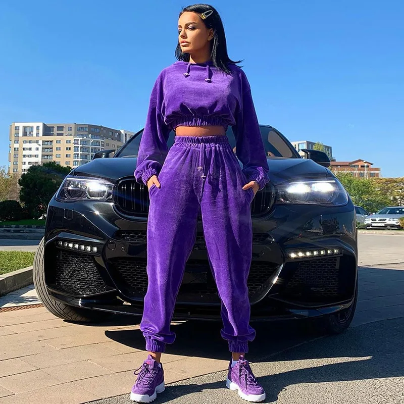 Autumn Winter 2 Peice Set 2021 Solid Velvet Hooded Women's Two Piece Set Crop Top and Harem Pants Casual Sporting Long Sleeve
Autumn Winter 2 Peice Set 2021 Solid Velvet Hooded Women's Two Piece Set Crop Top and Harem Pants Casual Sporting Long Sleeve
