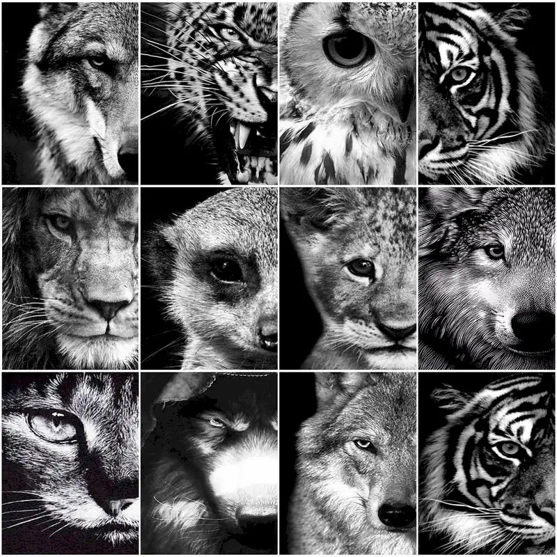 Animals Gaze DIY Oil Painting By Number Scenery For Adult Kit Gift Acrylic Paint Living Room Art Coloring By Number Home Decor
Animals Gaze DIY Oil Painting By Number Scenery For Adult Kit Gift Acrylic Paint Living Room Art Coloring By Number Home Decor