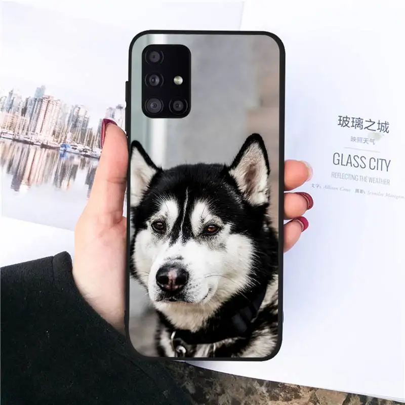 Animal Husky cute Puppy Dog Phone Case For Samsung Galaxy S8 S9 S10 Plus S10E Note 3 4 5 6 7 8 9 10 Pro Lite cover
Animal Husky cute Puppy Dog Phone Case For Samsung Galaxy S8 S9 S10 Plus S10E Note 3 4 5 6 7 8 9 10 Pro Lite cover
