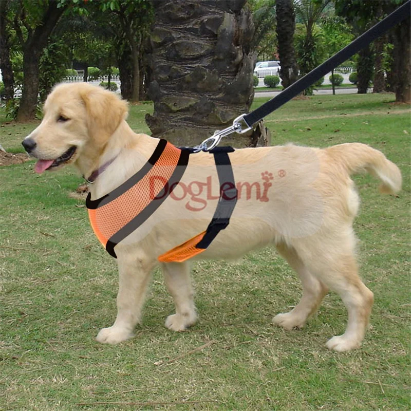 2021 New Small Dog Pet Harness and Leash Set Puppy Cat Vest Harness Collar For Chihuahua Pug Bulldog Cat arnes perro
2021 New Small Dog Pet Harness and Leash Set Puppy Cat Vest Harness Collar For Chihuahua Pug Bulldog Cat arnes perro