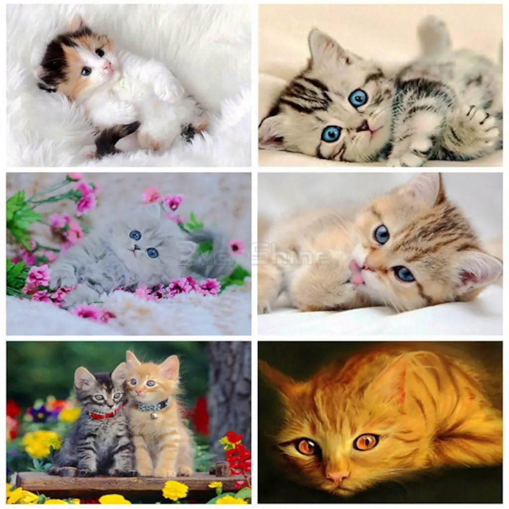 Home 5D DIY diamond painting square diamond cross stitch crafts fine arts sewing "animal cute cat" room stickers decoration gift
Home 5D DIY diamond painting square diamond cross stitch crafts fine arts sewing "animal cute cat" room stickers decoration gift