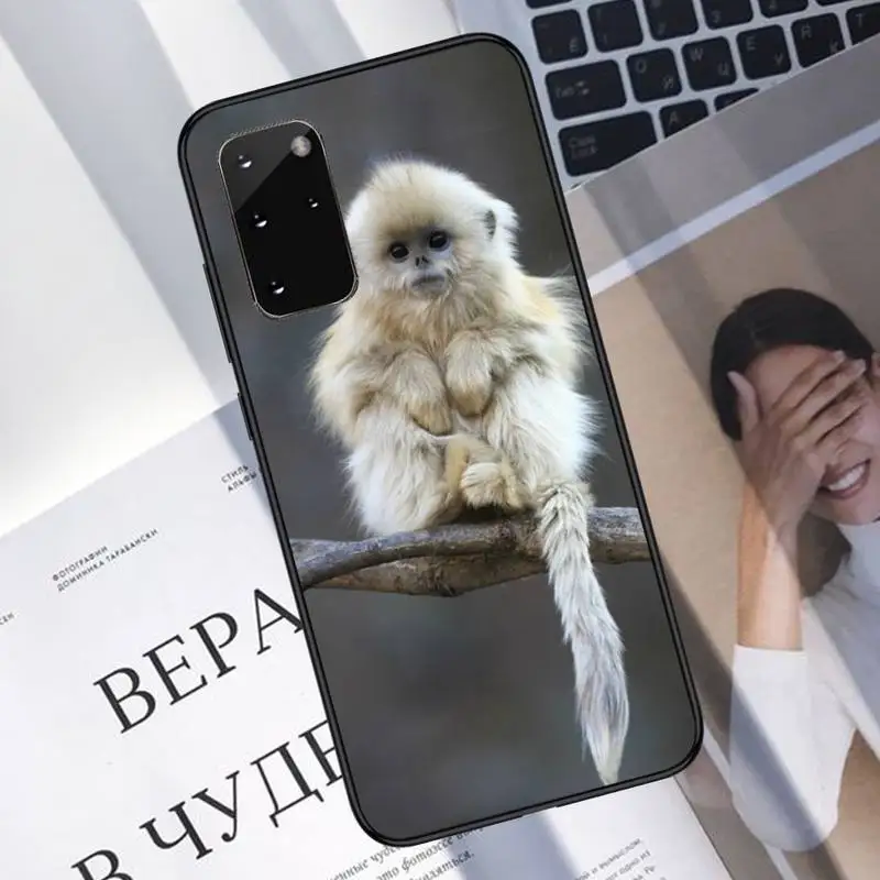 Golden monkey Phone Case For Samsung S6 S7 edge S8 S9 S10 e plus A10 A50 A70 note8 J7 2017
Golden monkey Phone Case For Samsung S6 S7 edge S8 S9 S10 e plus A10 A50 A70 note8 J7 2017