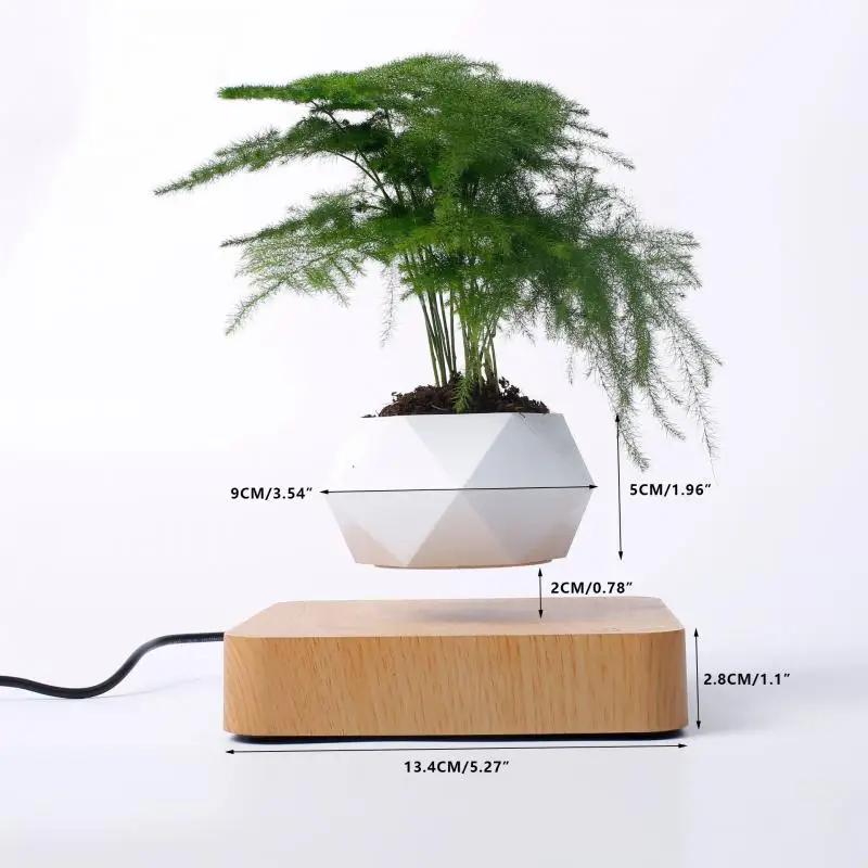 Levitating Air Bonsai Pot Rotation Flower Pot Planters Magnetic Suspension Floating Pot Potted Plant Home Dropshipping
Levitating Air Bonsai Pot Rotation Flower Pot Planters Magnetic Suspension Floating Pot Potted Plant Home Dropshipping