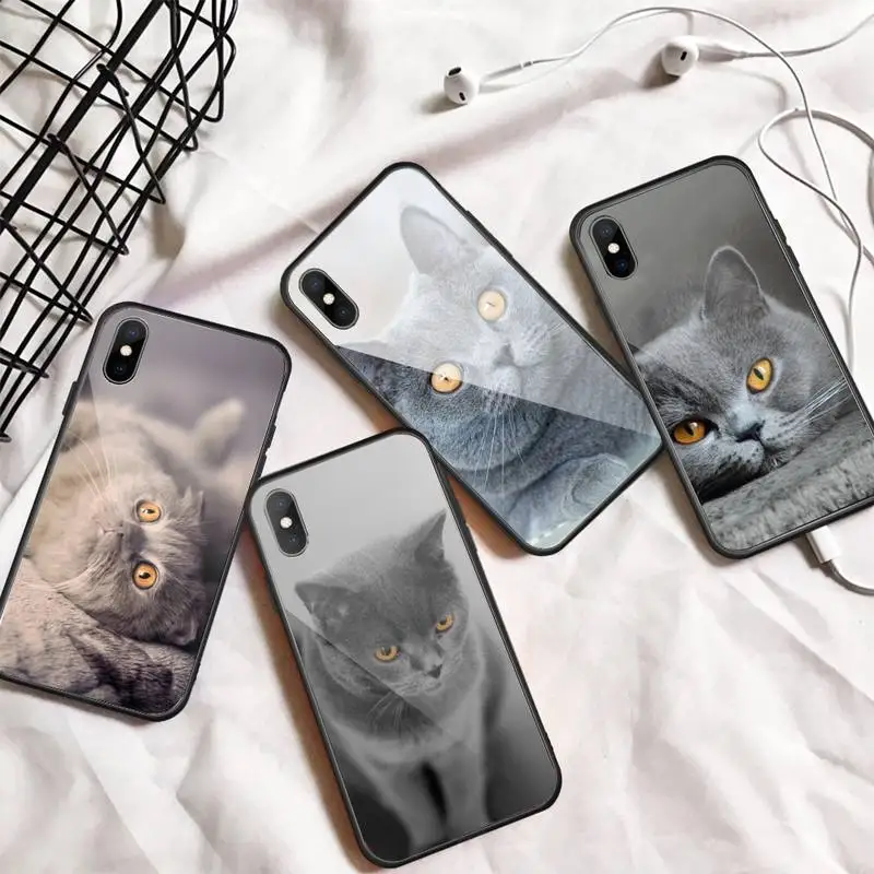 British Shorthair cat cute animal Phone Case Tempered glass For iphone 6 7 8 plus X XS XR 11 12 13 PRO MAX mini
British Shorthair cat cute animal Phone Case Tempered glass For iphone 6 7 8 plus X XS XR 11 12 13 PRO MAX mini