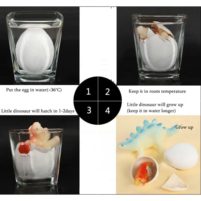 10pcs/set Magic Hatching Growing Dinosaur Add Water Grow Egg Animal Breeding Process Educational Teach Funny Toys For Kid
10pcs/set Magic Hatching Growing Dinosaur Add Water Grow Egg Animal Breeding Process Educational Teach Funny Toys For Kid