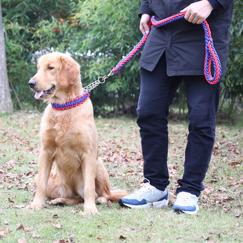 Double Strand Rope Large Dog Leashes Metal Chain Buckle Color Pet Traction Rope Collar Set For Big Dogs
Double Strand Rope Large Dog Leashes Metal Chain Buckle Color Pet Traction Rope Collar Set For Big Dogs