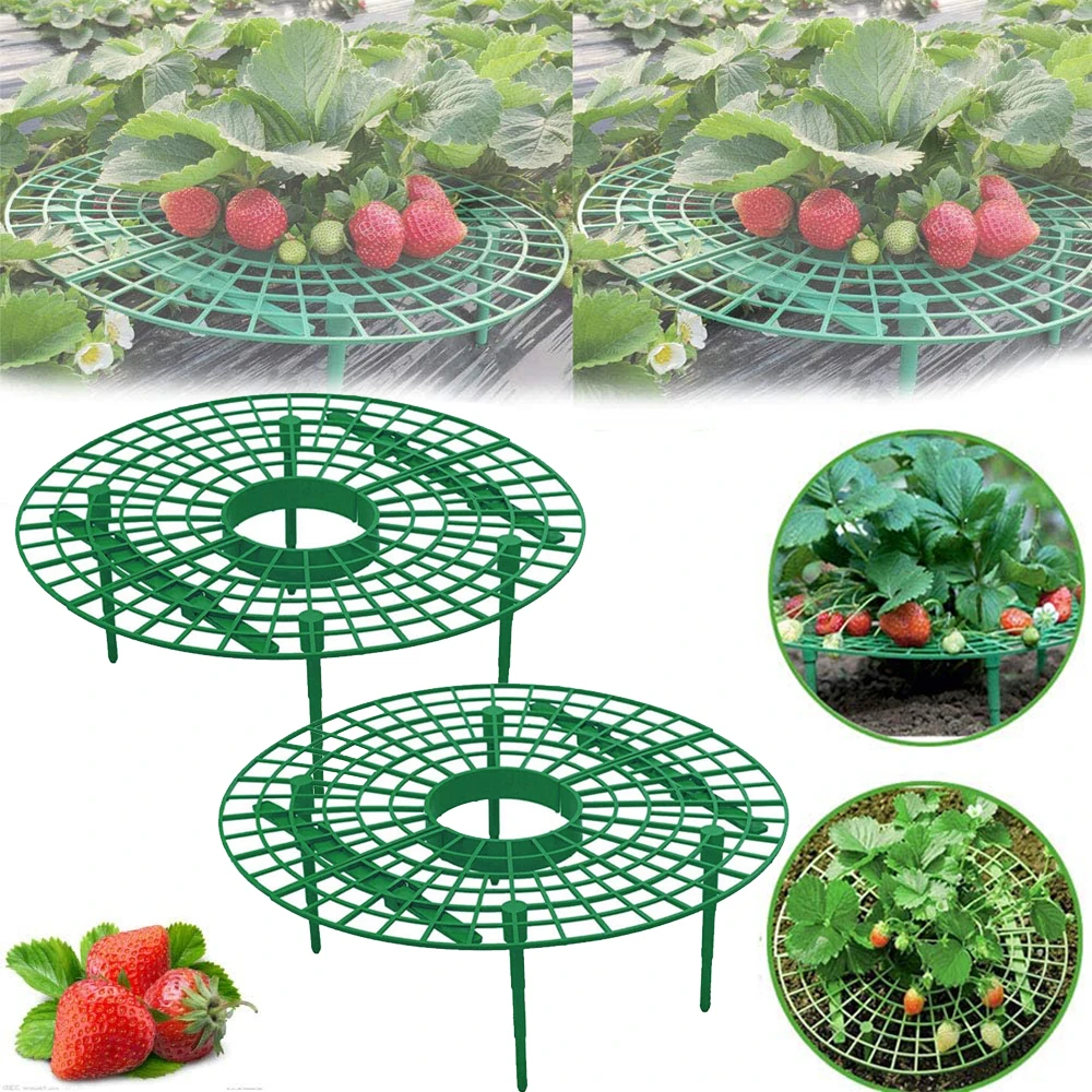 Gardening Planting Tools Strawberry Stand Frame Holder Garden Cable Ties Fixed Clips for Stem Vines Clamp Plant Growing fitting
Gardening Planting Tools Strawberry Stand Frame Holder Garden Cable Ties Fixed Clips for Stem Vines Clamp Plant Growing fitting