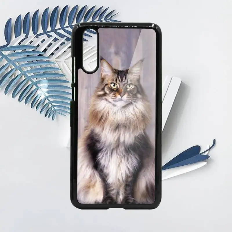 pet maine coon cat animal Phone Case PC For Samsung galaxy S note 8 9 20 10 e lite2019 plus pro ultra
pet maine coon cat animal Phone Case PC For Samsung galaxy S note 8 9 20 10 e lite2019 plus pro ultra