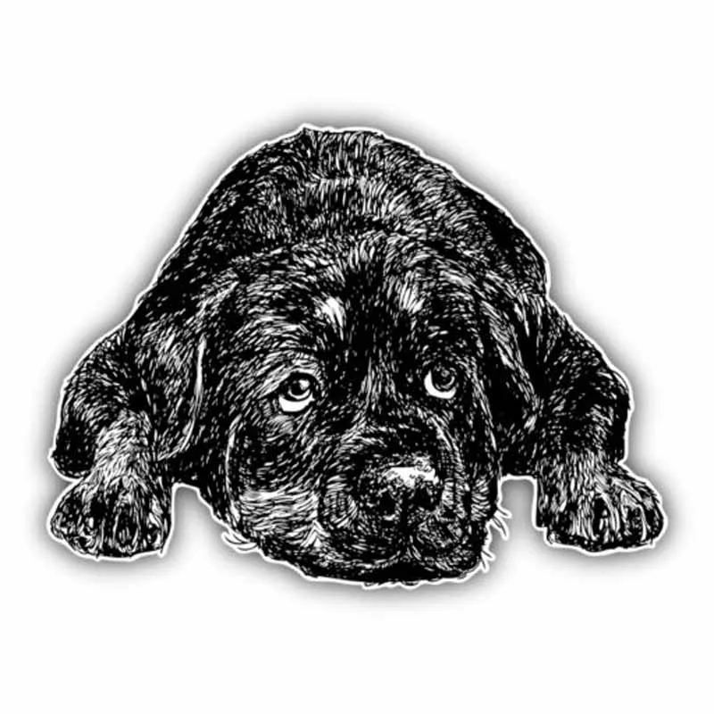 Personality Car Stickers Rottweiler Dog Accessories Motorcycle Cover Scratches Waterproof PVC 13cm *10cm
Personality Car Stickers Rottweiler Dog Accessories Motorcycle Cover Scratches Waterproof PVC 13cm *10cm