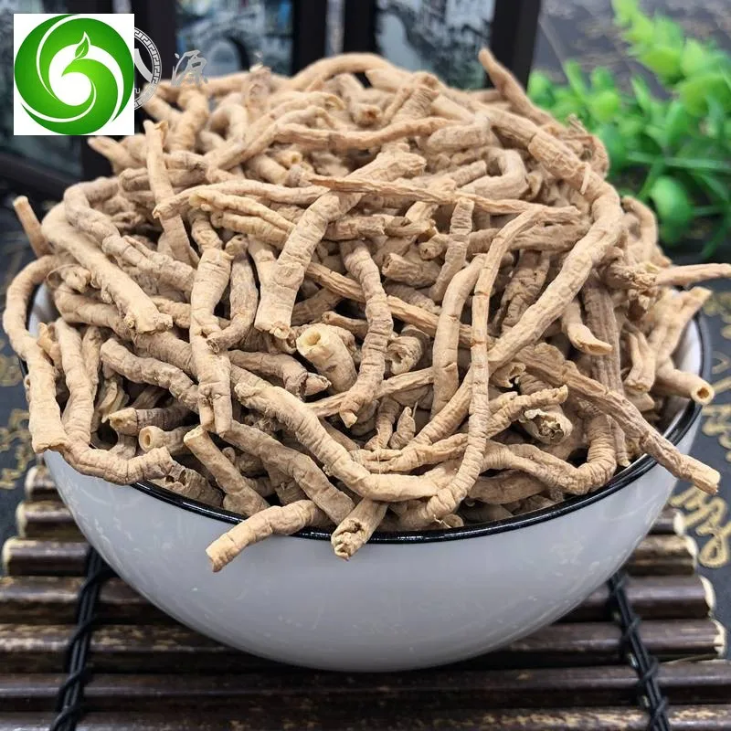 Polygala Tenuifolia Root, Thinleaf Milkwort Root Bark Thinleaf Milkwort Root Bark From Polygala Tenuifolia Willd For TCM
Polygala Tenuifolia Root, Thinleaf Milkwort Root Bark Thinleaf Milkwort Root Bark From Polygala Tenuifolia Willd For TCM