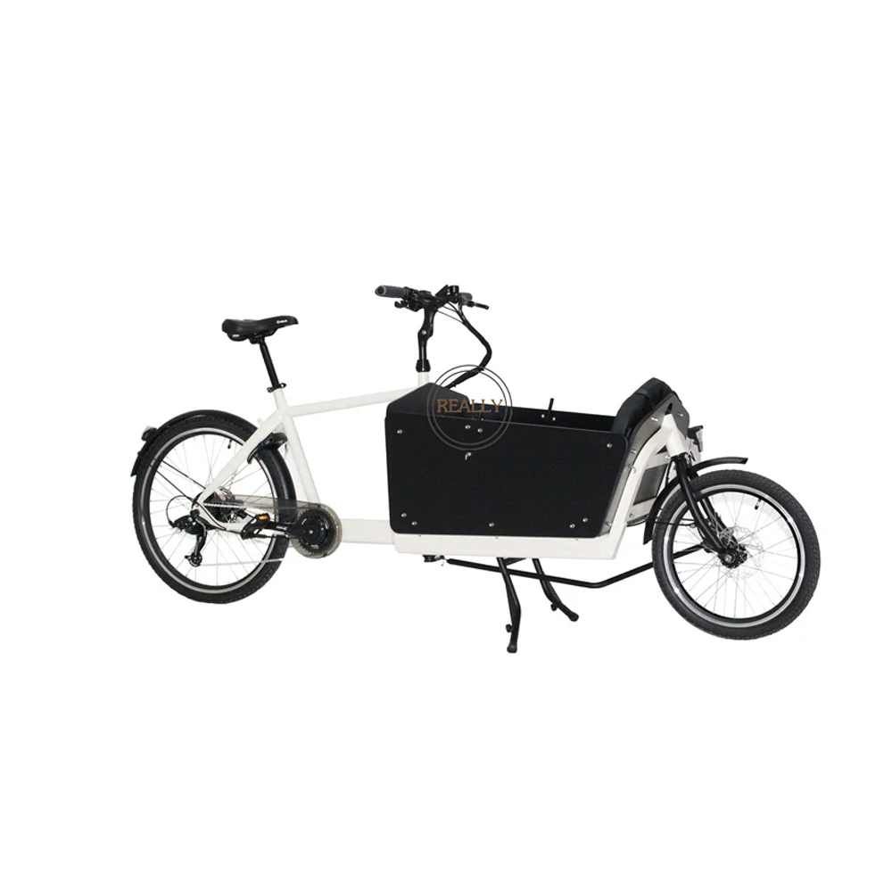 T05C Cargo Bike Two Wheel Electric Bicycle 7 Speed Family Bicycle With Passenger Tricycle Rickshaw
T05C Cargo Bike Two Wheel Electric Bicycle 7 Speed Family Bicycle With Passenger Tricycle Rickshaw