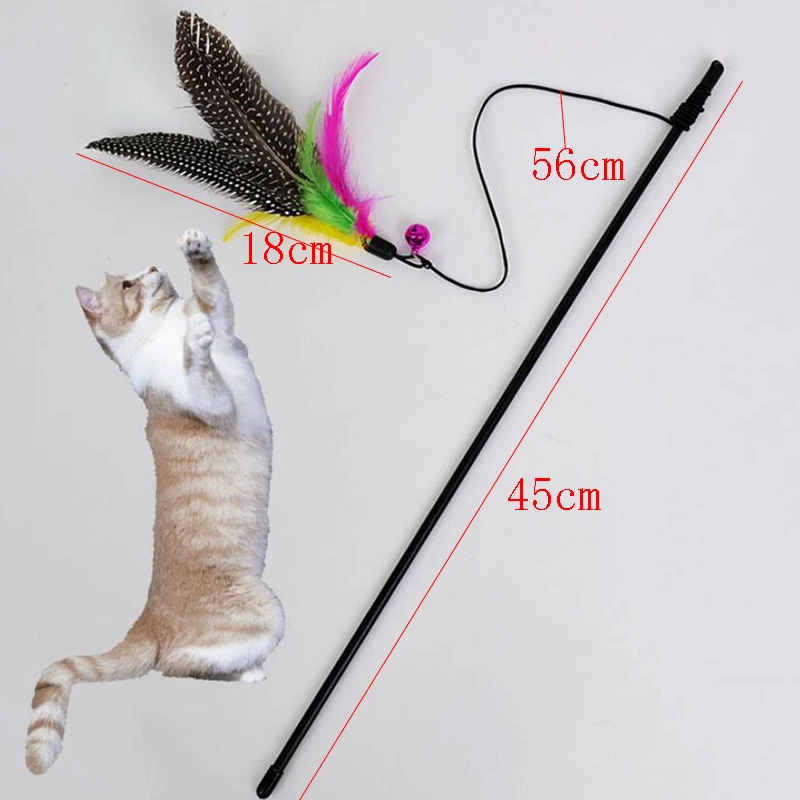 1Pc Funny Kitten Play Long Teaser Cute Cat Wand Interactive Fun Toy With Pet Feather For Cat Supplies
1Pc Funny Kitten Play Long Teaser Cute Cat Wand Interactive Fun Toy With Pet Feather For Cat Supplies