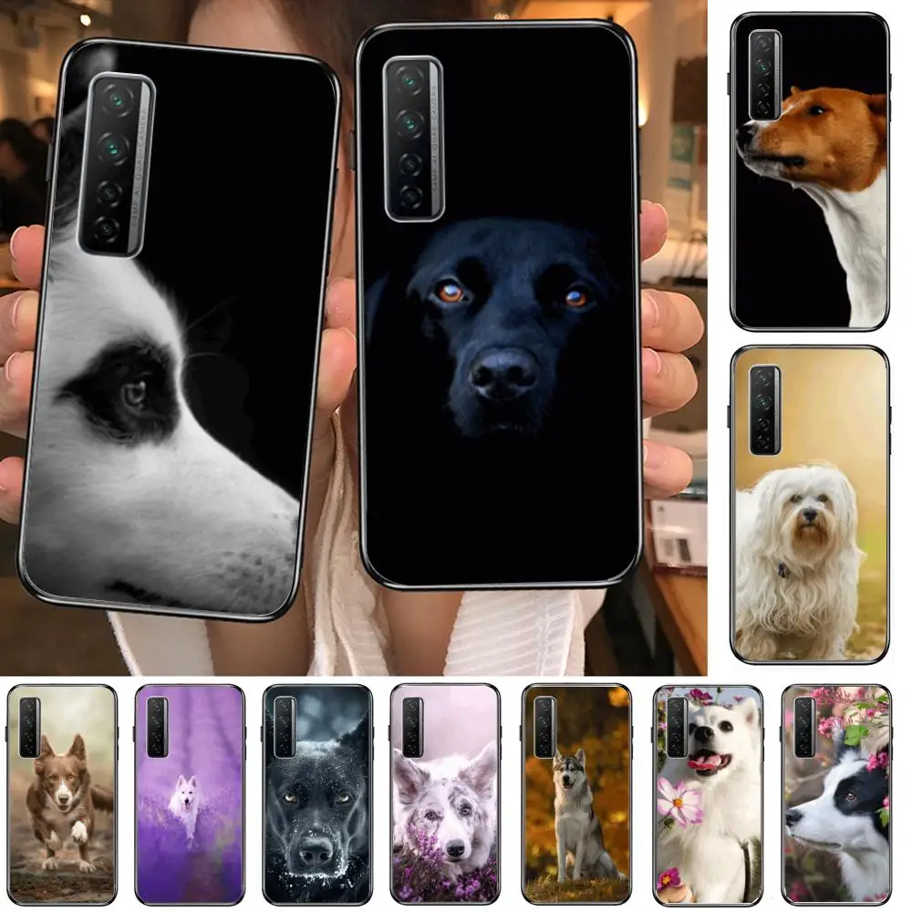 Cute pet dog Style Phone Case For Huawei mate 40 30 10 20 40 8 9 Lite Z Pro Black Etui 3D Coque Painting Hoesjes 5g black
Cute pet dog Style Phone Case For Huawei mate 40 30 10 20 40 8 9 Lite Z Pro Black Etui 3D Coque Painting Hoesjes 5g black