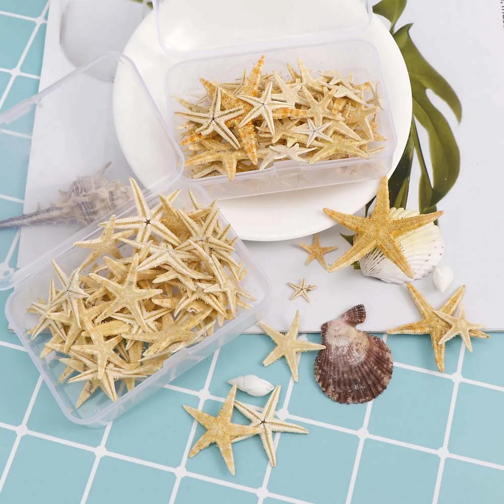 Box Natural DIY Nail Art Decoration Mini Shells Starfish Conch Shells Starfish Ornaments Manicure Tools
Box Natural DIY Nail Art Decoration Mini Shells Starfish Conch Shells Starfish Ornaments Manicure Tools