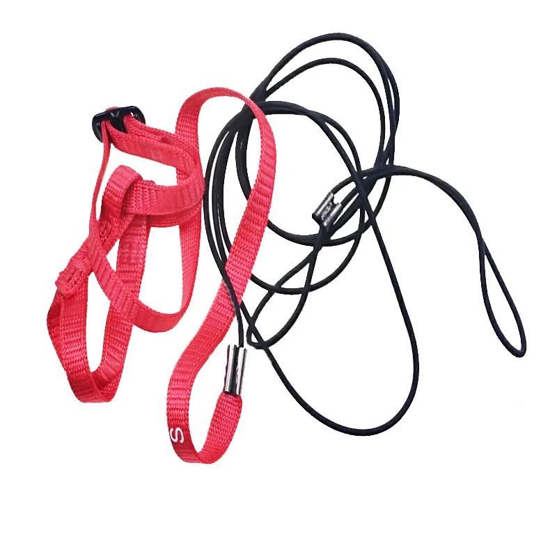 Anti-Bite Flying Training Rope Parrot Bird Pet Leash Kits Ultralight Harness Leash Soft Portable Pet Playthings
Anti-Bite Flying Training Rope Parrot Bird Pet Leash Kits Ultralight Harness Leash Soft Portable Pet Playthings