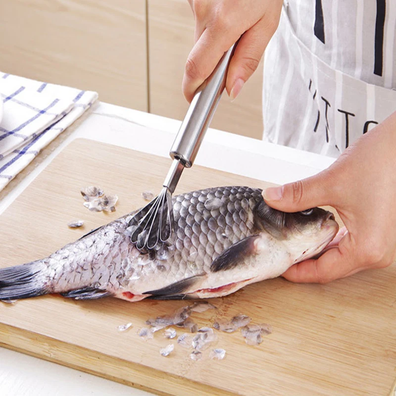 Stainless Steel Coconut Planing Coconut Meat Planing Fish Scales Planing Fish Scales Kitchen Gadgets Grater
Stainless Steel Coconut Planing Coconut Meat Planing Fish Scales Planing Fish Scales Kitchen Gadgets Grater