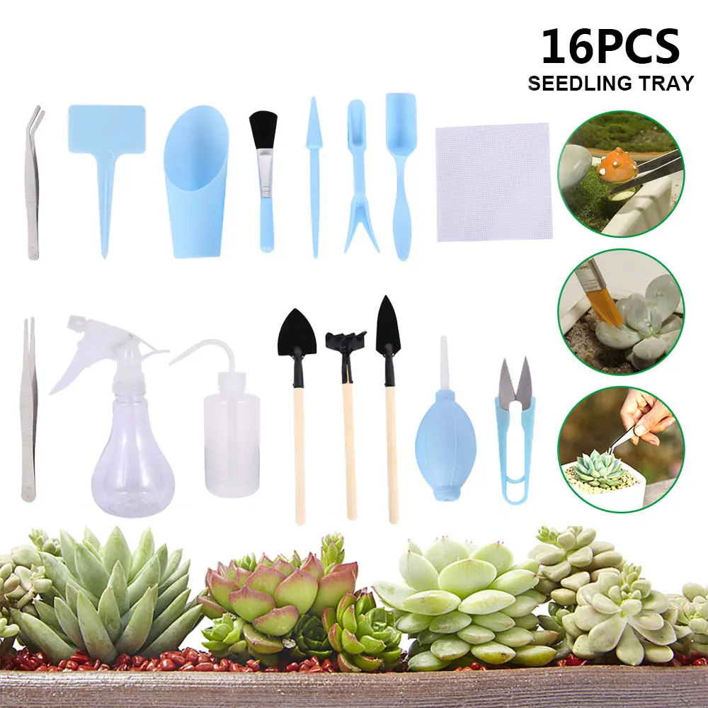 Succulent Planting Tools 16pcs Mini Garden Hand Tool Shovel Spade Rake Tweezers Kettle Succulent Plants Planting Bonsai Tools
Succulent Planting Tools 16pcs Mini Garden Hand Tool Shovel Spade Rake Tweezers Kettle Succulent Plants Planting Bonsai Tools