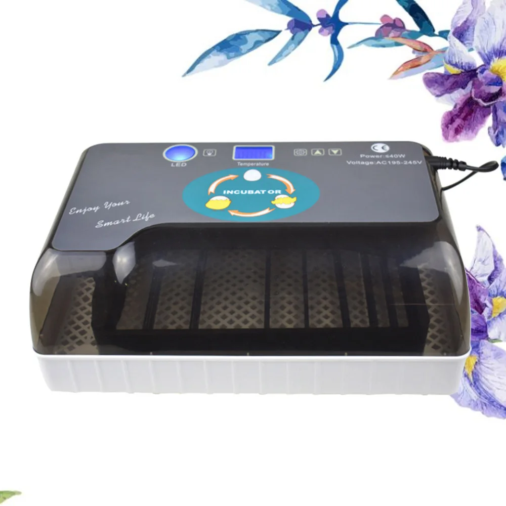 Automatic Household Incubator Bird Geese Egg Experiment Teaching Incubation Equipment(12 Pieces Capacity With US Plug) 
Automatic Household Incubator Bird Geese Egg Experiment Teaching Incubation Equipment(12 Pieces Capacity With US Plug)