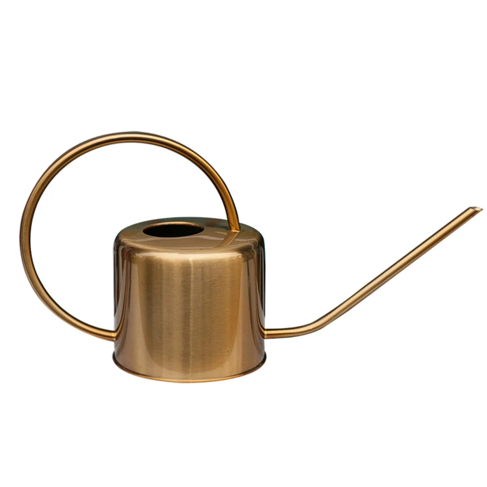 1pc Plants Watering Can Stainless Steel Long Spout Succulents Watering Kettle Gardening Tool (Golden)
1pc Plants Watering Can Stainless Steel Long Spout Succulents Watering Kettle Gardening Tool (Golden)