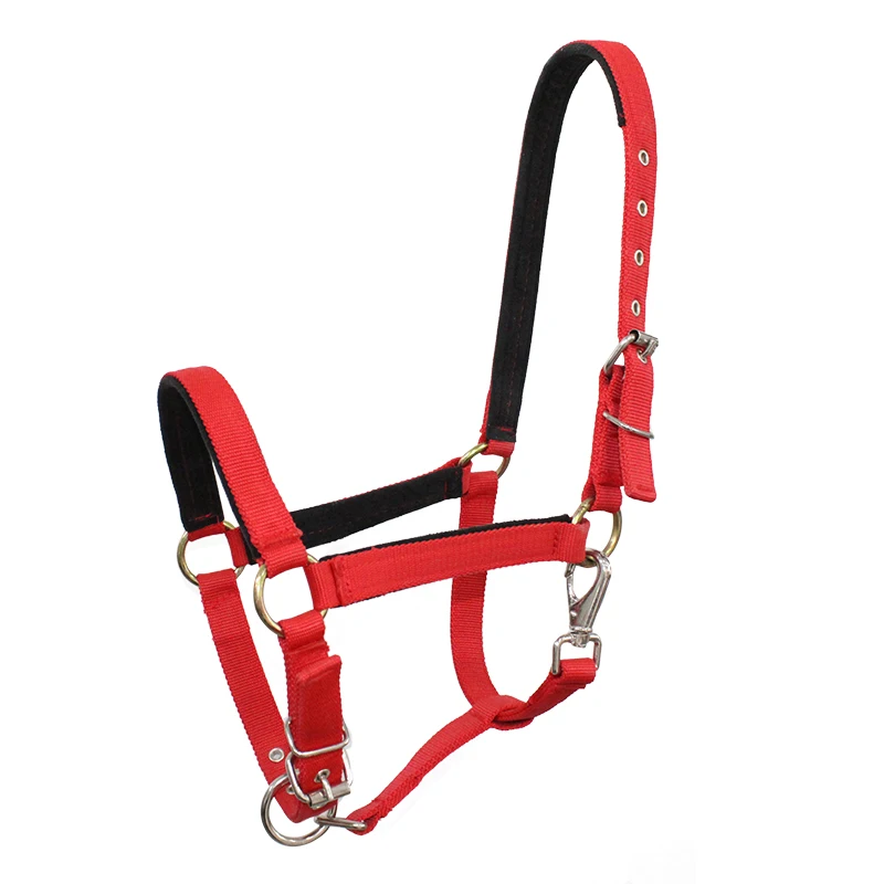 Thicken Horse Halter Padded Bridle Rein Headstall Head Collar Strap Stable Horse Ridding Bridle Strap Equestrian Halters BG50HH
Thicken Horse Halter Padded Bridle Rein Headstall Head Collar Strap Stable Horse Ridding Bridle Strap Equestrian Halters BG50HH