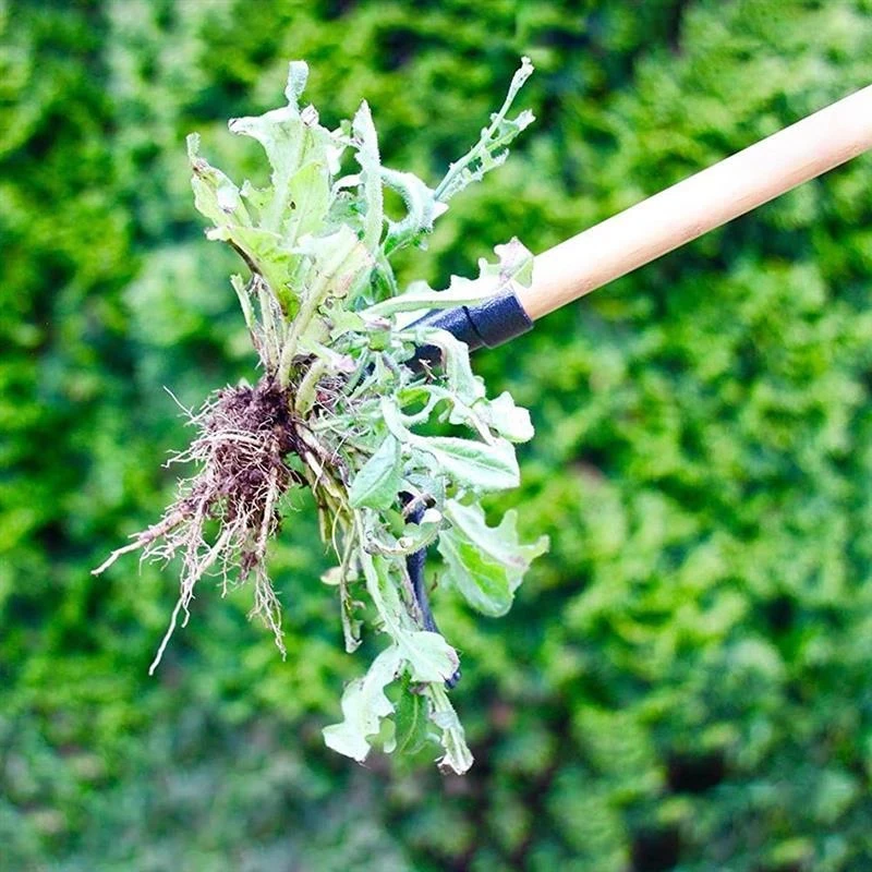 Standing Weed Puller Tool Weeding Hook Manual Garden Lawn Root Remover Weeder Vertical Labor Saving Grass Shovel Gardening Tools
Standing Weed Puller Tool Weeding Hook Manual Garden Lawn Root Remover Weeder Vertical Labor Saving Grass Shovel Gardening Tools