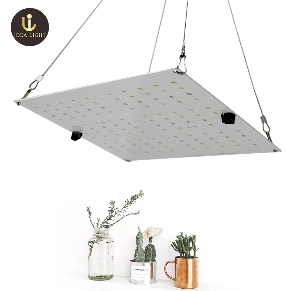 IDEA LIGTH VP65 quantum Led Grow Light board for Indoor Plants 3000K 4000K 660nm IR UV full spectrum red light switch lamp
IDEA LIGTH VP65 quantum Led Grow Light board for Indoor Plants 3000K 4000K 660nm IR UV full spectrum red light switch lamp