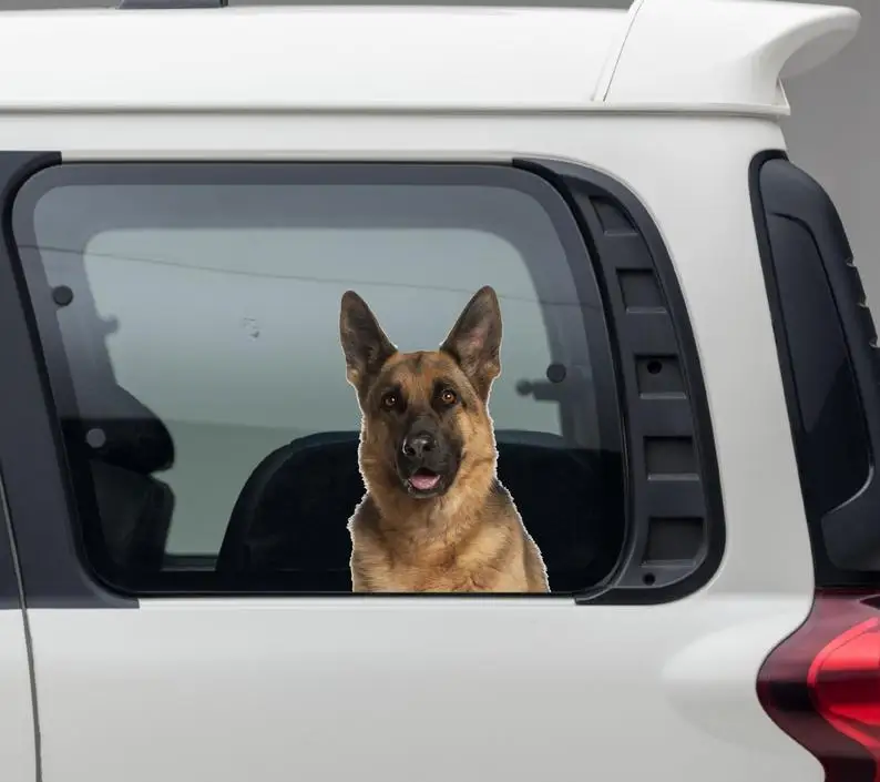 Car sticker German Shepherd Dog decal Dog lover Animal sticker Shepherd sticker Car decal Gift for her Dog sticker 5
Car sticker German Shepherd Dog decal Dog lover Animal sticker Shepherd sticker Car decal Gift for her Dog sticker 5