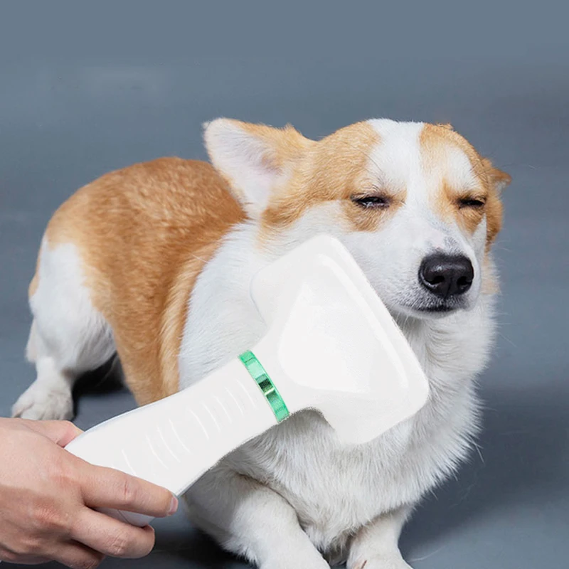Pet Hair Dryer Portable 2 in 1 Dog Hair Dryer Home Pet Grooming Cat Hair Comb Dog Fur Blower Adjustable Temperature Pet Brush
Pet Hair Dryer Portable 2 in 1 Dog Hair Dryer Home Pet Grooming Cat Hair Comb Dog Fur Blower Adjustable Temperature Pet Brush