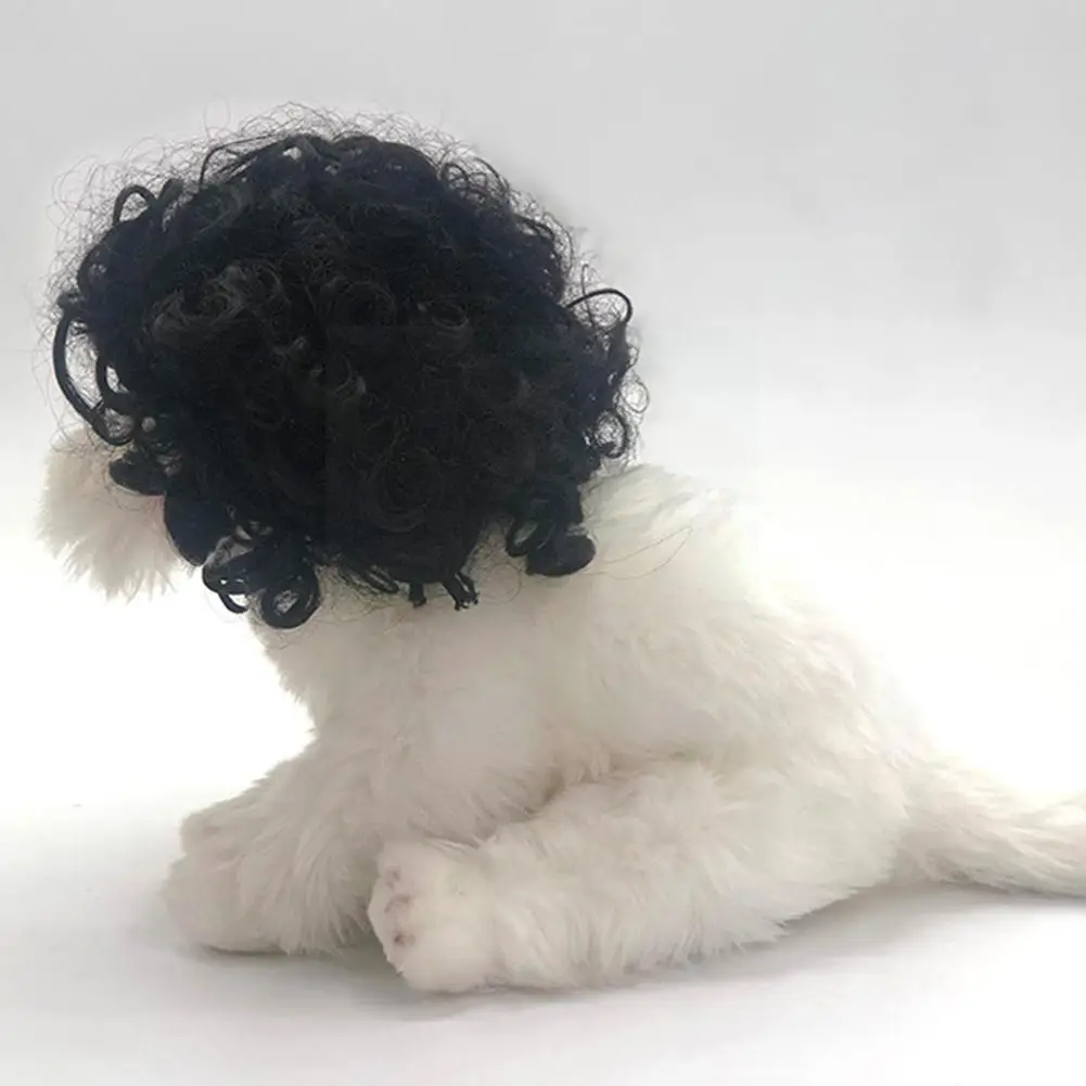 Pet Wigs Cosplay Props Funny Dogs Cats -dressing Hair Hat Costumes Accessories For Halloowen Christmas Pets Suppl W7y3
Pet Wigs Cosplay Props Funny Dogs Cats -dressing Hair Hat Costumes Accessories For Halloowen Christmas Pets Suppl W7y3