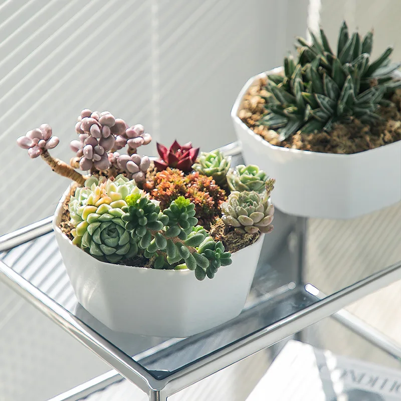 Big Size Flower Pot Indoor Planter Nordic Orchid Succulent Plant Pot Minimalist Decor Macetas Decorativas Garden Supplies EH60FP
Big Size Flower Pot Indoor Planter Nordic Orchid Succulent Plant Pot Minimalist Decor Macetas Decorativas Garden Supplies EH60FP