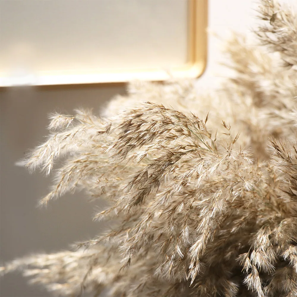 15pcs,20Pcs Natural Pampas Grass Dried Flowers Branch,Eternell Real Dried Reed Display Flowers For Wedding Party Home Decoration 
15pcs,20Pcs Natural Pampas Grass Dried Flowers Branch,Eternell Real Dried Reed Display Flowers For Wedding Party Home Decoration
