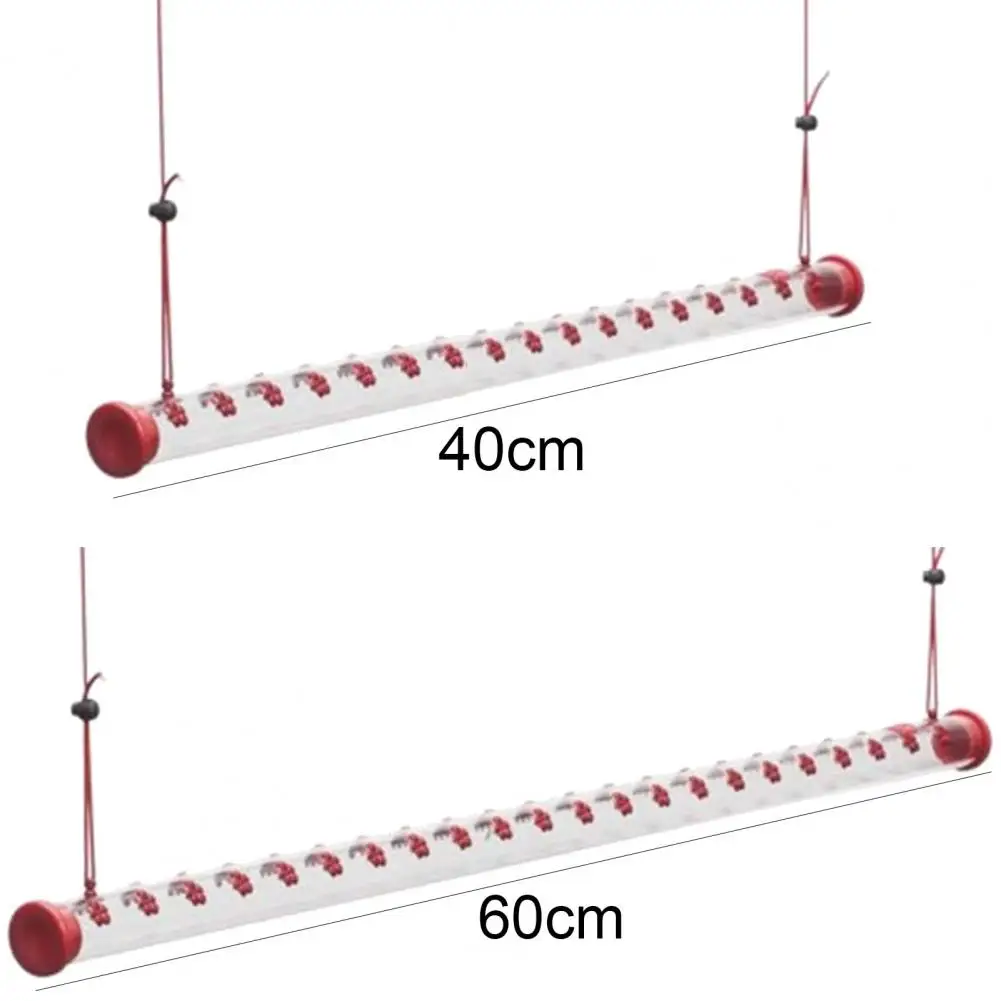 Bird Feeder Creative Delicate Plastic Hanging Long Tube Durable Hummingbird Food Feeder for Outdoors Deck Yard Garden Decor
Bird Feeder Creative Delicate Plastic Hanging Long Tube Durable Hummingbird Food Feeder for Outdoors Deck Yard Garden Decor