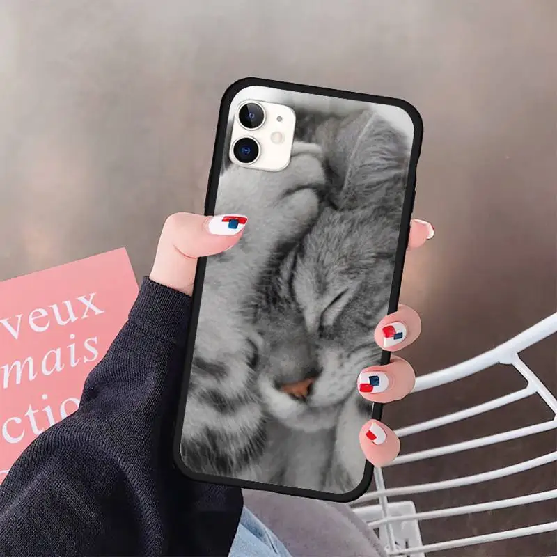 Cat Cute lovely animal luxury design shell Phone Case for iPhone 11 12 pro XS MAX 8 7 6 6S Plus X 5S SE 2020 XR
Cat Cute lovely animal luxury design shell Phone Case for iPhone 11 12 pro XS MAX 8 7 6 6S Plus X 5S SE 2020 XR